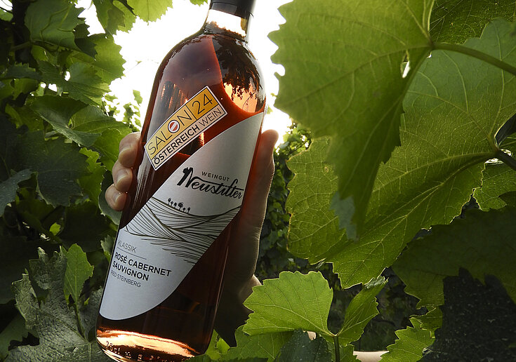 Der BIO Rosé Cabernet Sauvignon mit einem SALON 2024 Aufkleber steht zwischen Weinblätter.