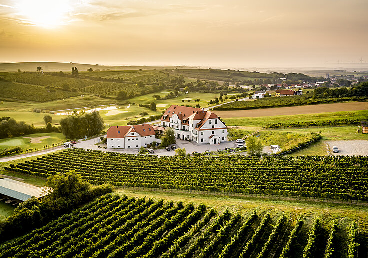 Drohnenaufnahme im Herbst vom Wein.Hotel Neustifter inmitten der Weingärten.